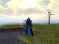 Screenshot zu Neverwinter Nights: Die Horden des Unterreichs - 2003/11/hordes12_large.jpg