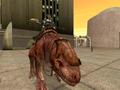 Screenshot zu Star Wars Galaxies - 2003/11/screenShot0064.jpg