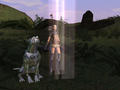 Screenshot zu Lineage 2 - 2004/02/IvoryHeal.jpg
