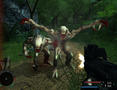 Screenshot zu Battlefield Vietnam - 2004/04/Trigens_00.jpg
