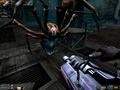Screenshot zu Psychotoxic - 2004/07/Spider.jpg