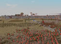 Screenshot zu Rome: Total War - 2004/07/screenshots-popup9.jpg
