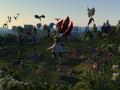Screenshot zu Games Convention 2005 - 2005/07/6213.jpg