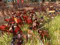 Screenshot zu Rise & Fall: Civilizations at War - 2005/09/2625.jpg