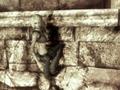 Screenshot zu Tomb Raider Legend - 2006/03/amanda1.jpg