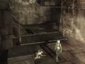 Screenshot zu Tomb Raider Legend - 2006/03/amanda2.jpg