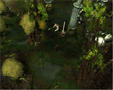 Screenshot zu Silverfall - 2006/04/SF_0426_Screen_05.jpg