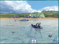 Screenshot zu Supreme Commander - 2006/04/snap00009.jpg
