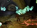 Screenshot zu Vanguard: Saga of Heroes - 2006/05/1146545952919.JPG