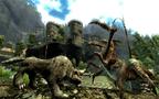 Screenshot zu Gothic 3 - 2006/07/1151988687886.jpg