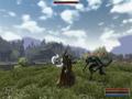 Screenshot zu Gothic 3 - 2006/09/1158827228202.jpg