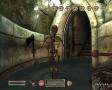 Bild 3 zu The Elder Scrolls 4: Oblivion - Knights of the Nine