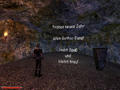 Screenshot zu Gothic 2 - 2006/12/silvester03.jpg