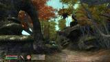 Bild 2 zu The Elder Scrolls 4: Shivering Isles