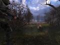 Screenshot zu Stalker: Shadow of Chernobyl - 2007/02/STalker9PCGames0207.jpg