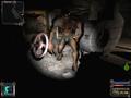 Screenshot zu Stalker: Shadow of Chernobyl - 2007/03/1173185256216.jpg