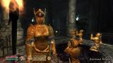 Screenshot zu The Elder Scrolls 4: Shivering Isles - 2007/03/1175155665843.jpg