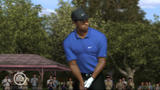 Bild 4 zu Tiger Woods PGA Tour 08