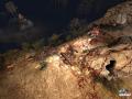 Bild 2 zu Shadowgrounds Survivor