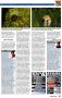 Bild 4 zu Dark Project: Der Meisterdieb