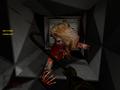 Screenshot zu The Mansion 3: Freeman Residence - 2007/10/half-life2_the_mansion3_freeman_residence_2.jpg