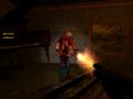 Screenshot zu The Mansion 3: Freeman Residence - 2007/10/half-life2_the_mansion3_freeman_residence_3.jpg