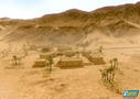 Bild 4 zu Theatre of War 2: Africa 1943
