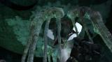 Screenshot zu Metro 2033 - 2010/03/Metro_7.jpg