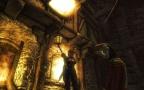 Bild 3 zu Divinity 2: Flames of Vengeance