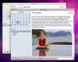 Bild 2 zu Softwarepiraterie