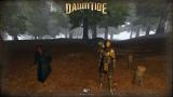 Bild 3 zu Dawntide