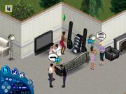 Die Sprachkultur der Sims muss aufgrund ihrer Komplexit&auml;t im Spiel vereinfacht dargestellt werden.