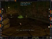 In Wizardry 8 macht Ihnen allerlei Ungeziefer das Leben schwer.