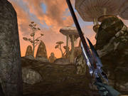 Morrowind - der neue Patch ist ab sofort auch für die "europäische" Version erhältlich.