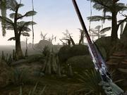 Morrowind - das Add-on eerscheint Ende November.