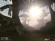 Morrowind - es gibt einen neuen Walktrough im Netz.