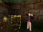 Harry Potter und die Kammer des Schreckens - die englischsprachige Demo ist da.