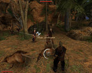 Gothic 2: Der Patch verändert laut Entwickler unter anderem die Spiel-Balance.