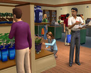 Die Sims 2: Open for Business im PC-Games-Realitätscheck
