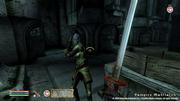 Patch 1.2.0416 f&uuml;r Oblivion und Shivering Isles erschienen