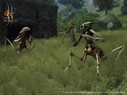 Two Worlds im Mehrspielermodus - das sagt Community-Mitglied Anbei