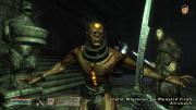 F&uuml;nf neue Screenshots zu Shivering Isles