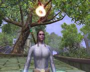 Flugreittiere für Vanguard: Saga of Heroes verfügbar