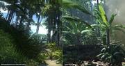 Crysis vs. Warhound - Weitere Vergleichsbilder aus dem Dschungel