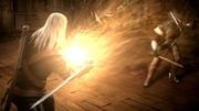 The Witcher