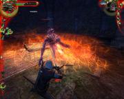 The Witcher