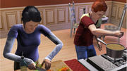 Die Sims 3 - Die erfolgreiche Serie geht in eine neue Runde