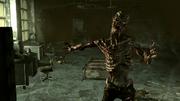 Fallout 3 Screenshot (3)