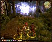 Dragon Age (6)