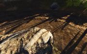 Crysis (Crytek) - Bild: Rygel-Texturenupdate für Crysis